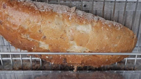 Zoom out of slice of loaf bread on standing vertical toaster. Stock Footage 342941601