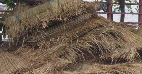 Zoom out of a stack of straw roofs on the ground. Stock Footage 252430550