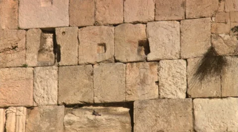 Zoom-out from stonework to visitors gathered at Jerusalem's Western Wall Stock Footage 59522981