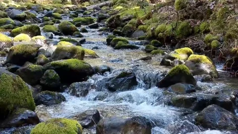 Zoom out stream 02 Stock Footage 106634292