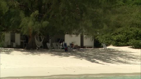 Zoom out from tree to beach and sea Stock-Footage 22663687