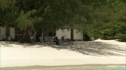 Zoom out from tree to beach and sea Stock-Footage 22663754