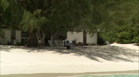 Zoom out from tree to beach and sea Stock-Footage 22663773