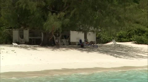 Zoom out from tree to beach and sea Stock-Footage 22663881