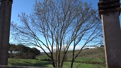 Zoom In-Out of Tree Branches with Expansive Green Hills in the Background Stock Footage 304419240