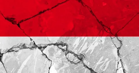A zoom out video of an old grunge cracked wall with the indonesia flag Video stock 337429031