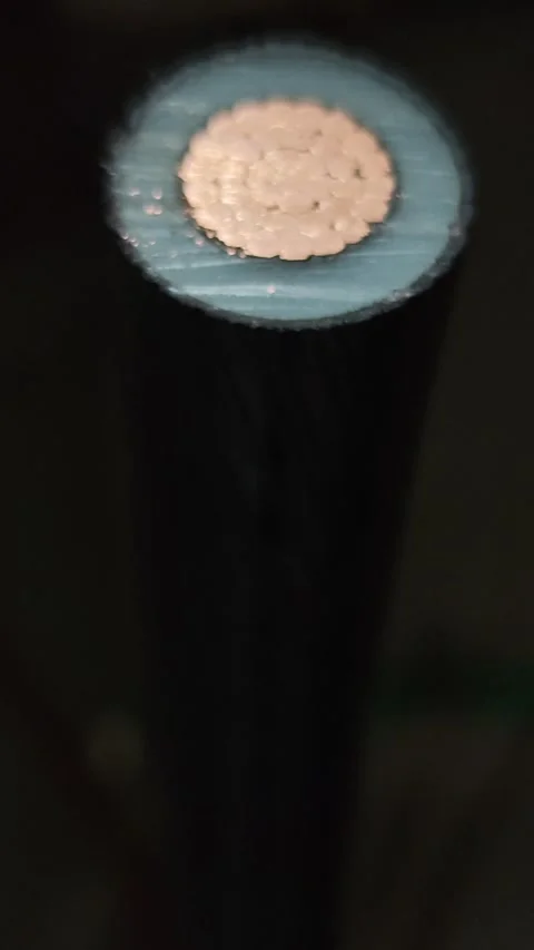 Zoom out video pulling focus from sharp to blurred cut cross section. Stock-Footage 338355458