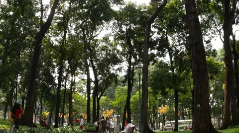 Zoom out view of a park in the Ho Chi Minh City Stock Footage 62258434