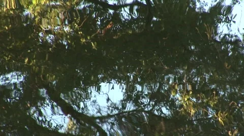 Zoom out on water Stock Footage 492787