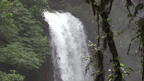 Zoom Out of Waterfall and River Paradise Green Lush Pure Pristine Costa Rica Stock Footage 133996863