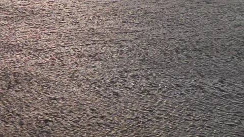 Zoom out waves on the surface of the water Video stock 98396707