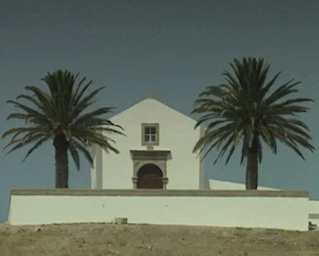 Zoom out from white house between palm trees on hillside Stock Footage