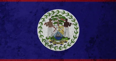 A zoom panning video of a worn out rusty wall with the belize flag Stock Footage 337427200