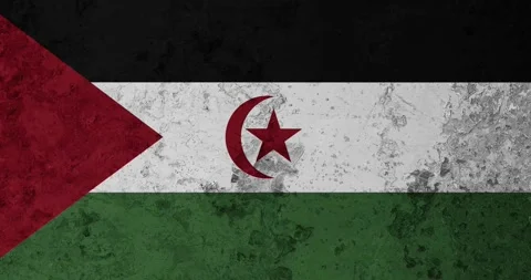 A zoom panning video of a worn out rusty wall with the sahrawi republic flag Video stock 337431322