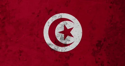 A zoom panning video of a worn out rusty wall with the tunisia flag Vídeos de archivo 337432614