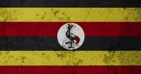 A zoom panning video of a worn out rusty wall with the uganda flag Stock Footage 337432646