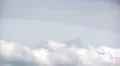 Zoom panorama of lonely tree HD Footage