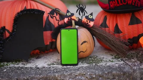 Zoom in phone with a green screen on the background of Halloween props, bats Stock Footage 219755946