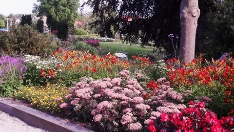 Zoom In on the pink flowers Stock Footage 120057581