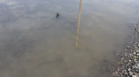 Zoom into Power Pole Reflection 動画素材 45910171