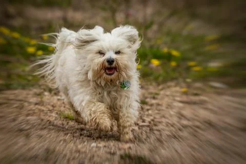 Zoom in rain Stock Photos