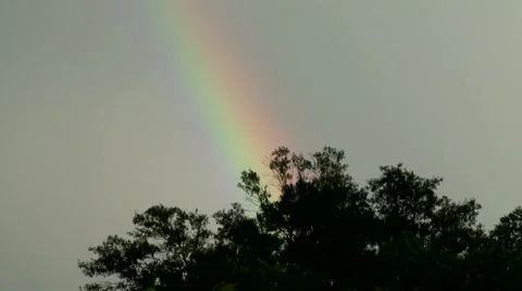 Zoom In on Rainbow Appearing Above Trees After Storm Stock Footage 54714719