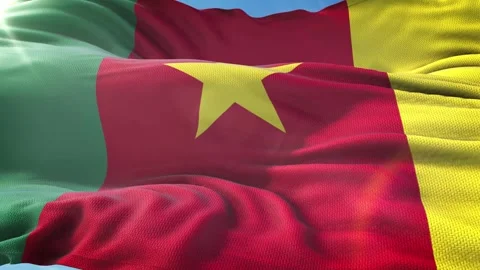 Zoom in Realistic Flag of Cameroon 4K Stock Footage 342777927
