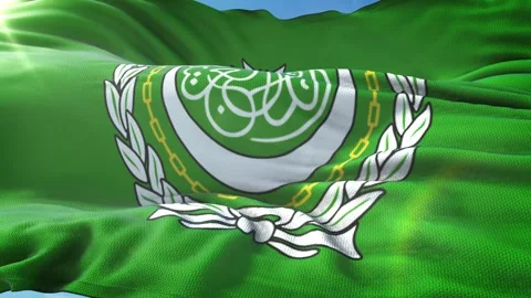 Zoom in Realistic Flag of League of Arab States 4K Stock Footage 342781424