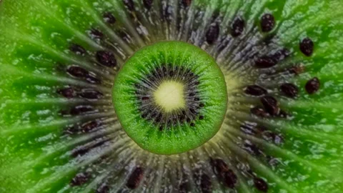 Zoom into rotation of half or slice of kiwi in minimal motion on , graphic Stock Footage 242989178
