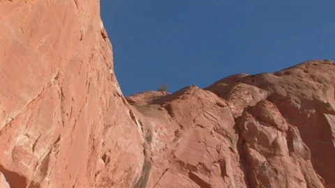 Zoom in to sagebrush on Wingate Cliffs in Gallup, New Mexico USA Stock Footage 103551055