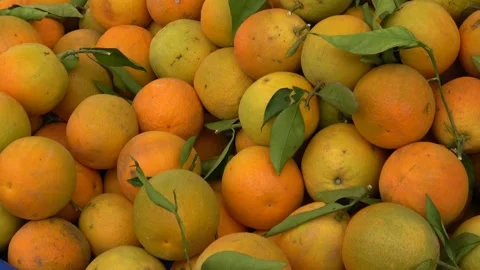 Zoom in shot on fresh ripe oranges with leaves at market Vídeo Stock 344972784