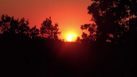 Zoom In Shot of Partial Solar Eclipse Above Forest Ridge Today Stock Footage 343845468