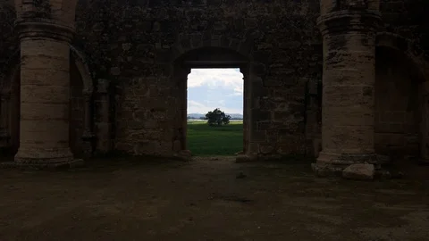 Zoom In Shot of Tree in a Field Through Door of The Ruins. Time Lapse Shot Stock Footage 102655783