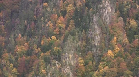 Zoom on some steep mountains covered by forests 81 Stock Footage 58120778