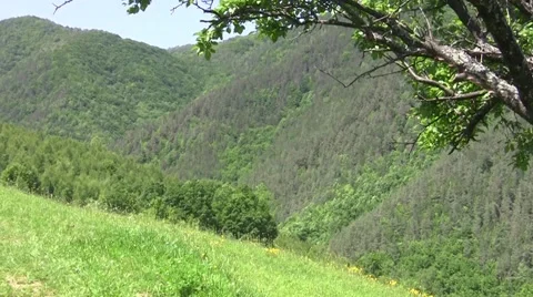 Zoom on some steep mountains covered by forests 111 Stock Footage 58286540