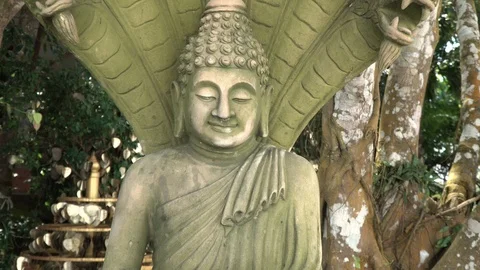 Zoom in on the stone face of a Buddha statue. Stock Footage 120062806