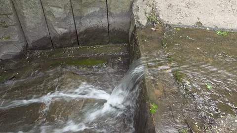 Zoom in stream water in the park Stock Footage 76307627