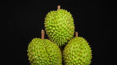 Zoom in three stacked Ri6 durians on black background. Vídeo Stock 334340042