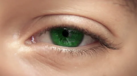 Zoom through eye, optic nerve into brain / neurons. Green eye, 4K loop-able. Stock Footage