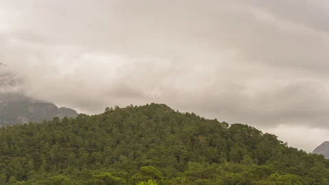 Zoom In Timelapse of Variable Precipitation Over the Forested Mountains. Rain 库存影片 274369094