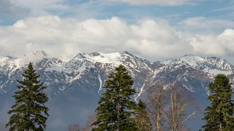 Zoom in on the top of the fir trees in front of high mountains covered with s 動画素材 147243064