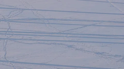 Zoom in trampled field. many tracks and paths on a snowy field Stock Footage 101364003