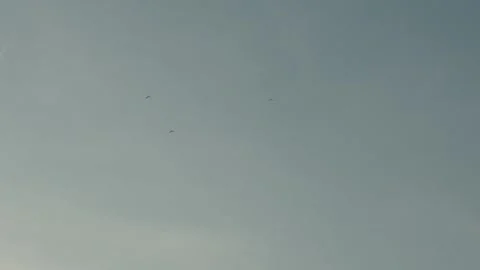 Zoom Upshot, US army’s dropping from the sky near Munich, Bavaria in Stock Footage 162310758
