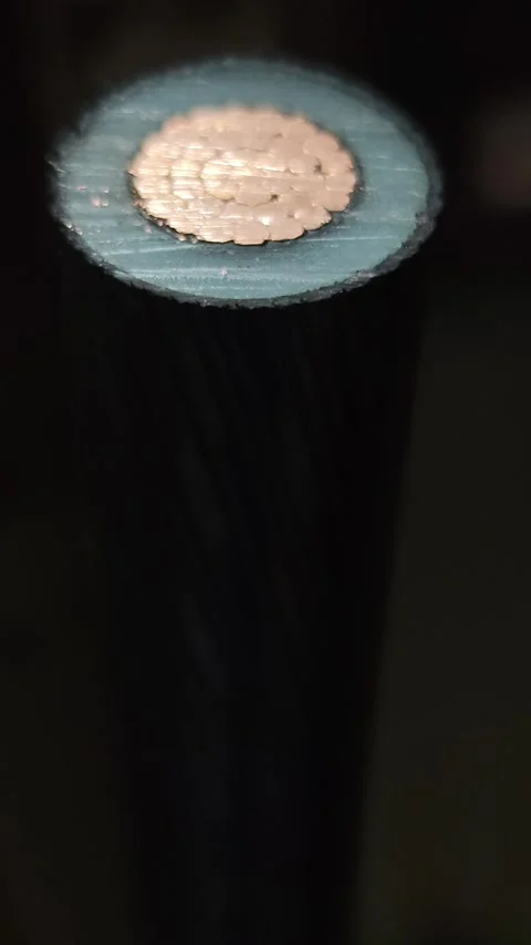 Zoom in video pulling focus from blurred to sharp on a cut cross section. Stock-Footage 338355464