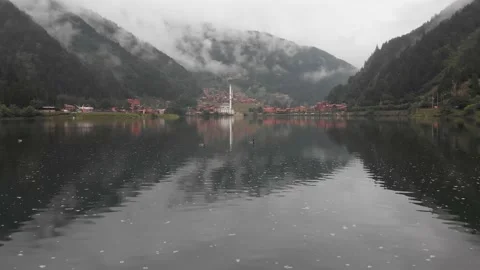 Zoom in view three ducks swim in lake with Uzungol village panorama in mist.. Stock-Footage 233118418