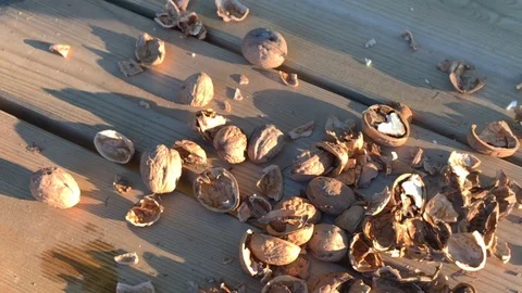 Zoom in walnut kernels and whole walnuts on wooden table.  Stock Footage 116170427