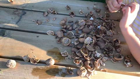 Zoom in walnut kernels and whole walnuts on wooden table.  Stock Footage 116170436