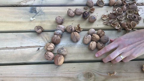 Zoom in walnut kernels and whole walnuts on wooden table. Womens hand picks one  Video stock 117679755