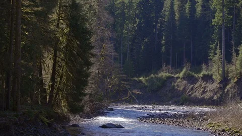 Zoomed river Stock Footage 87312795