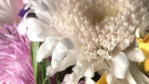 Zoomed in rotating flower bouquet Stock Footage 74097615